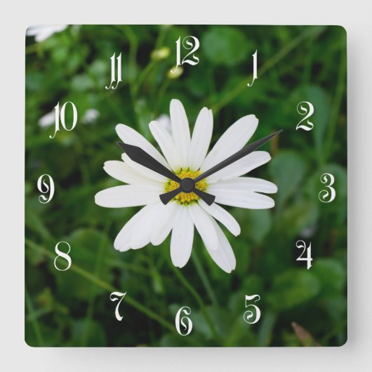 Daisy Quadratische Wanduhr (Vorderseite)