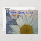 Daisy RehoBeide Beach Postcard Postkarte (Vorne/Hinten)