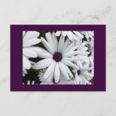 Daisy Respond Card: Wäsche 3,5" x 5" 3,5" x 5" (Rückseite)