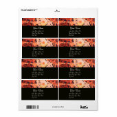 DAISY, rot-schwarz (Vorne)