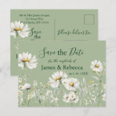 Daisy Sage & Botanical Wedding Save the Date Postkarte (Vorne/Hinten)