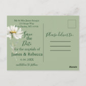 Daisy Sage & Botanical Wedding Save the Date Postkarte (Rückseite)
