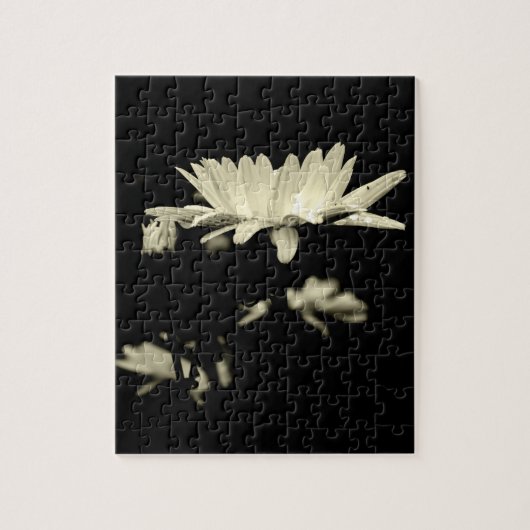 Daisy - Schwarzweiß Puzzle (Vertikal)