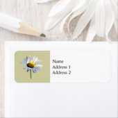 Daisy Shadow und Light (Insitu)