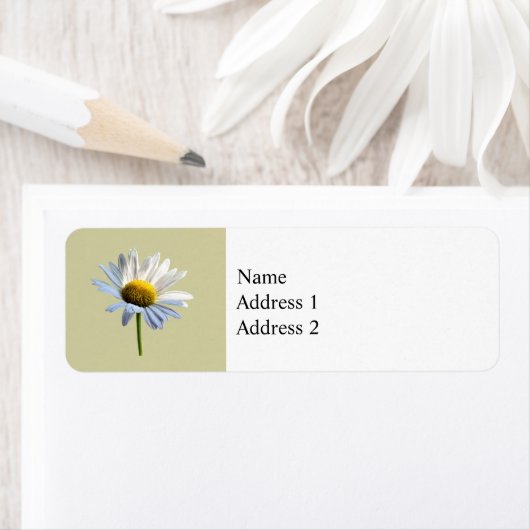 Daisy Shadow und Light (Insitu)