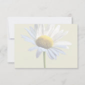 Daisy Shadow und Light RSVP Karte (Rückseite)