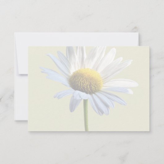 Daisy Shadow und Light RSVP Karte (Rückseite)