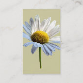 Daisy Shadow und Light Visitenkarte (Rückseite)