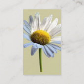 Daisy Shadow und Light Visitenkarte (Rückseite)