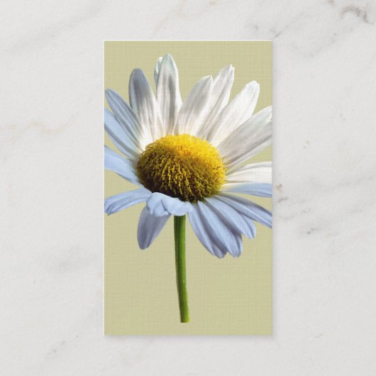 Daisy Shadow und Light Visitenkarte (Rückseite)