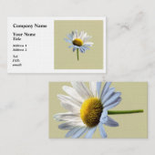 Daisy Shadow und Light Visitenkarte (Vorne/Hinten)