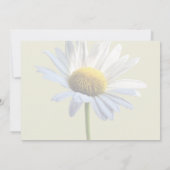 Daisy Shadow und Light Wedding Supplies Einladung (Rückseite)