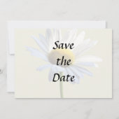 Daisy Shadow und Light Wedding Supplies Save The Date (Rückseite)