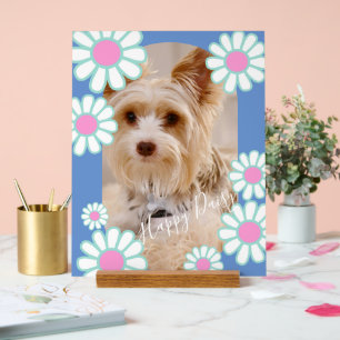 Daisy Simple Blue Foto Acrylschild