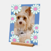 Daisy Simple Blue Foto Acrylschild (Winkel)