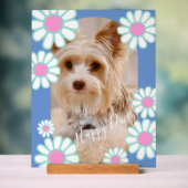 Daisy Simple Blue Foto Acrylschild (Neutral)