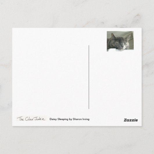 Daisy Sleeping Postkarte (Rückseite)