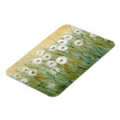 Daisy Spring I Magnet (Linke Seite)