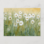 Daisy Spring I Postkarte (Vorderseite)
