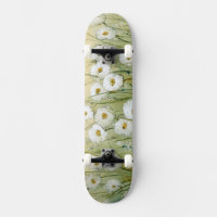 Daisy Spring I