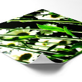 Daisy Stems Poster (Ecke)