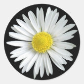 Daisy Sticker (Vorderseite)