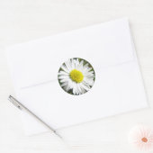 Daisy Sticker (Umschlag)