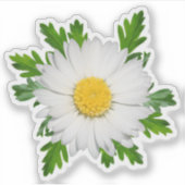 Daisy Sticker (Vorderseite)