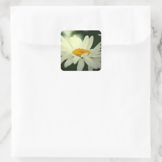 Daisy Stickers (Tasche)