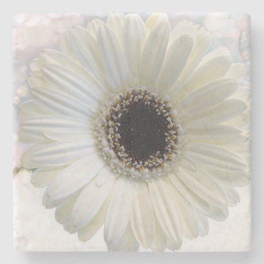 Daisy Stone Untersetzer (Vorderseite)