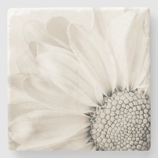 Daisy Stone Untersetzer (Vorderseite)