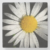 Daisy Stone Untersetzer (Vorderseite)