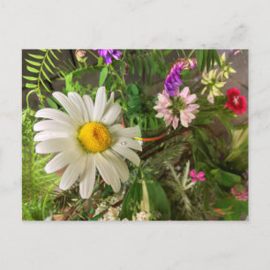Daisy Summer Postcard Diane Heller 2018 Postkarte