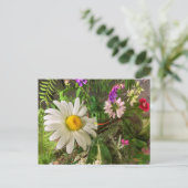 Daisy Summer Postcard Diane Heller 2018 Postkarte (Stehend Vorderseite)