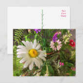 Daisy Summer Postcard Diane Heller 2018 Postkarte (Vorne/Hinten)