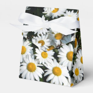Daisy Sunshine Favor Box Geschenkschachtel