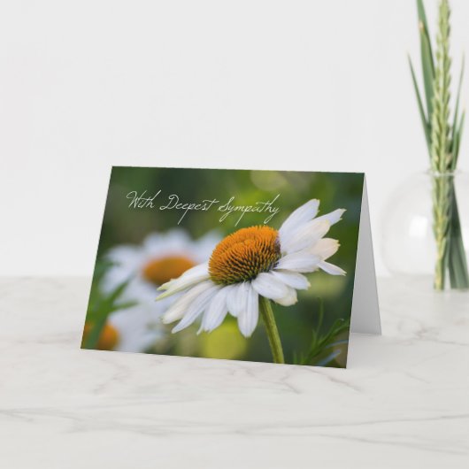 Daisy Sympathy Card Karte (Vorderseite)