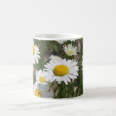 Daisy Tasse (Mittel)