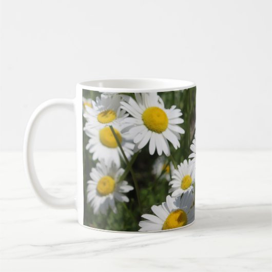 Daisy Tasse (Links)