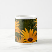 Daisy Tasse (Mittel)