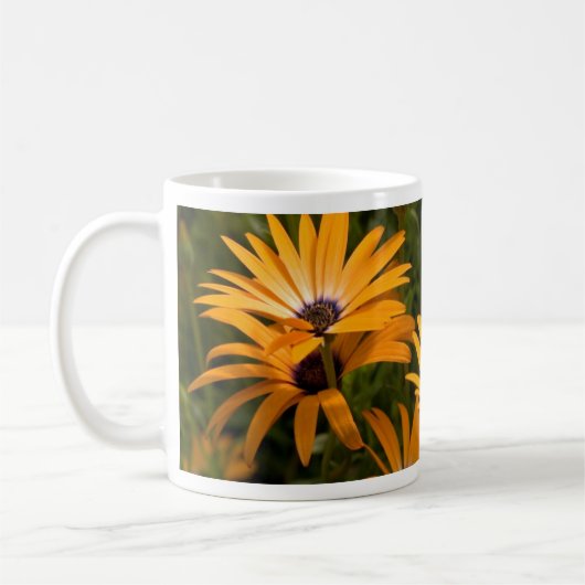 Daisy Tasse (Links)