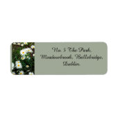 Daisy Theme Address Labels (Vorne)