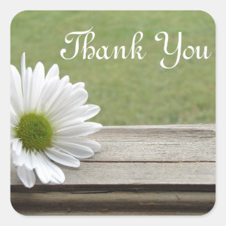 Daisy Theme Quadratischer Aufkleber