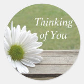 Daisy Theme Runder Aufkleber (Vorderseite)