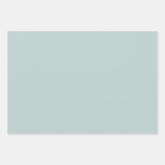 Daisy Time Niedlich Retro Blumenmuster Ice Blue Geschenkpapier Set (Vorderseite 3)