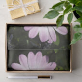 Daisy Tissue Paper Seidenpapier (Geschenk)