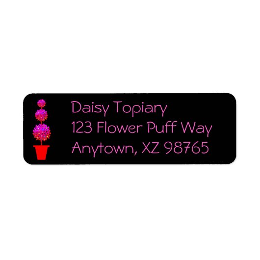 Daisy Topiary (Vorne)