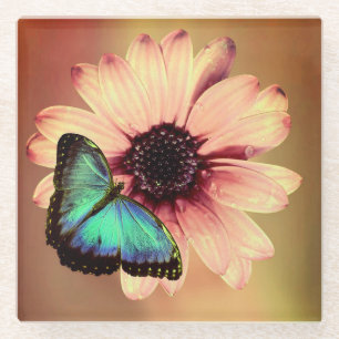 Daisy und Butterfly Glasuntersetzer