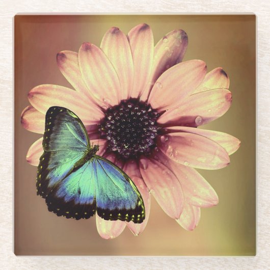 Daisy und Butterfly Glasuntersetzer (Vorderseite)