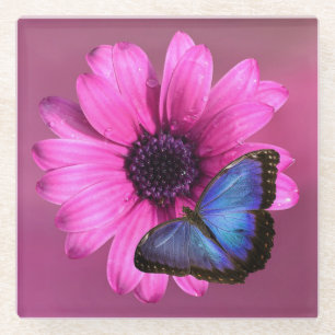 Daisy und Butterfly Glasuntersetzer